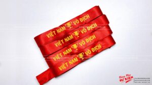 băng rôn Việt Nam vô địch